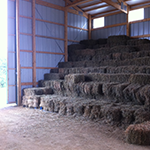 Hay at Cana Land and Farm Company